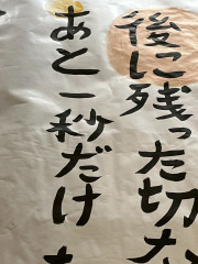 団員紹介 かおるこちゃん.jpg