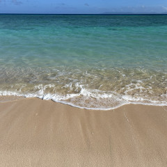 団員紹介 写真.jpg