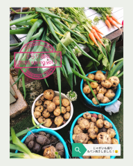 1_20250518_220341_0000.png