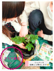 Screenshot_20260531_075026_Canva.jpg