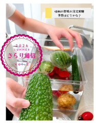 Screenshot_20260927_140725_Canva.jpg