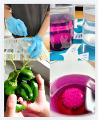 Screenshot_20260927_140744_Canva.jpg