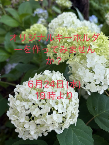 IMG_2613.JPG