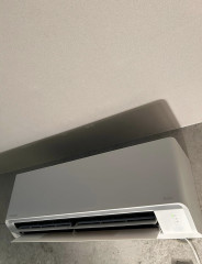 IMG_9519.jpeg