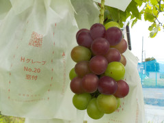 DSCN7492.JPG