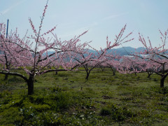 DSCN7685.JPG