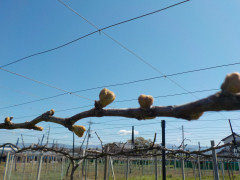 DSCN7705.JPG