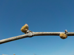 DSCN7722.JPG