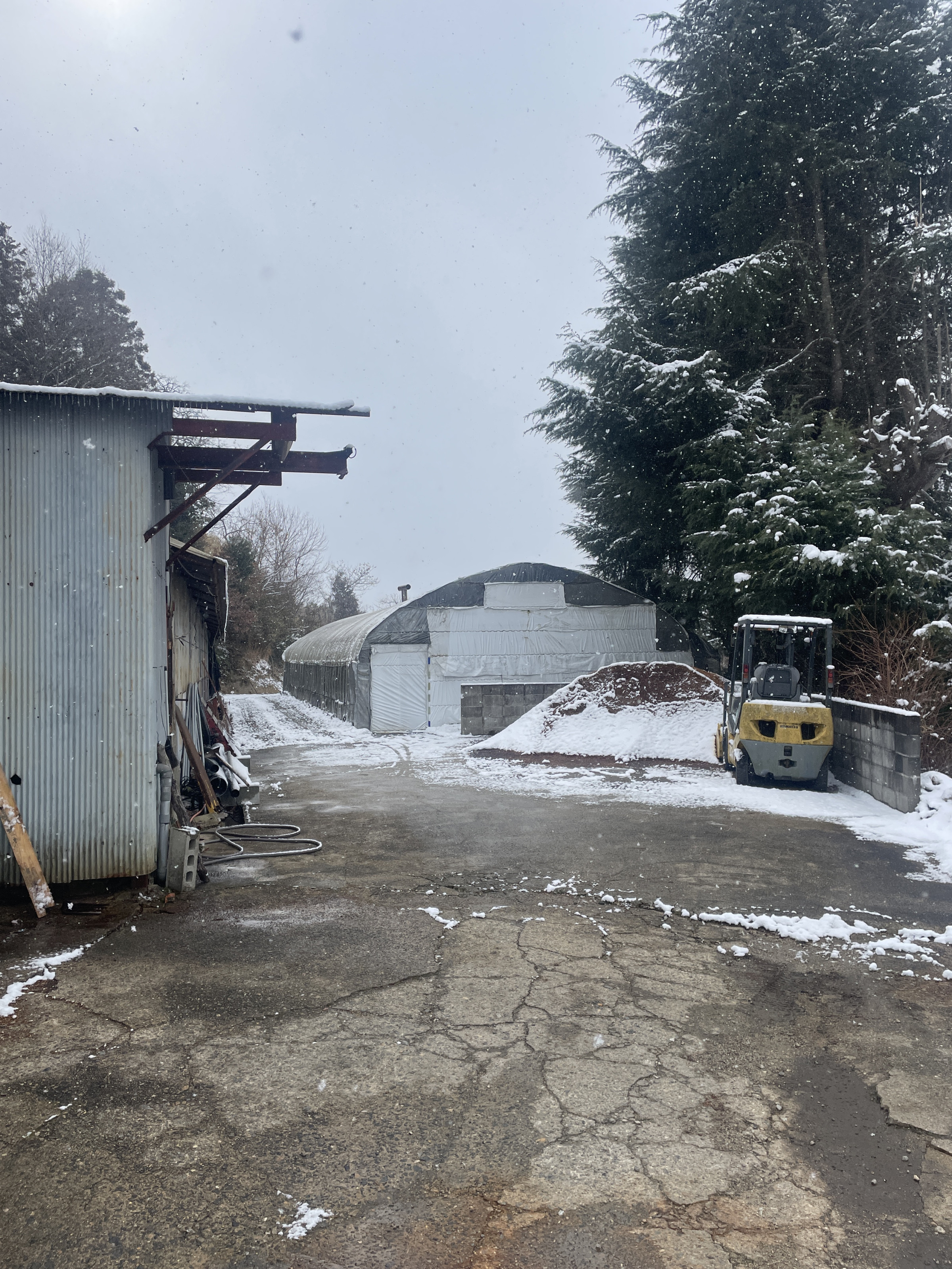 雪景色の椎茸施設