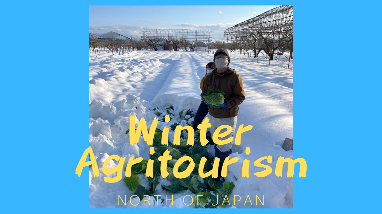 初・農業体験ツアー in 山形・冬を楽しみました　2023.2.11~2023.2.12