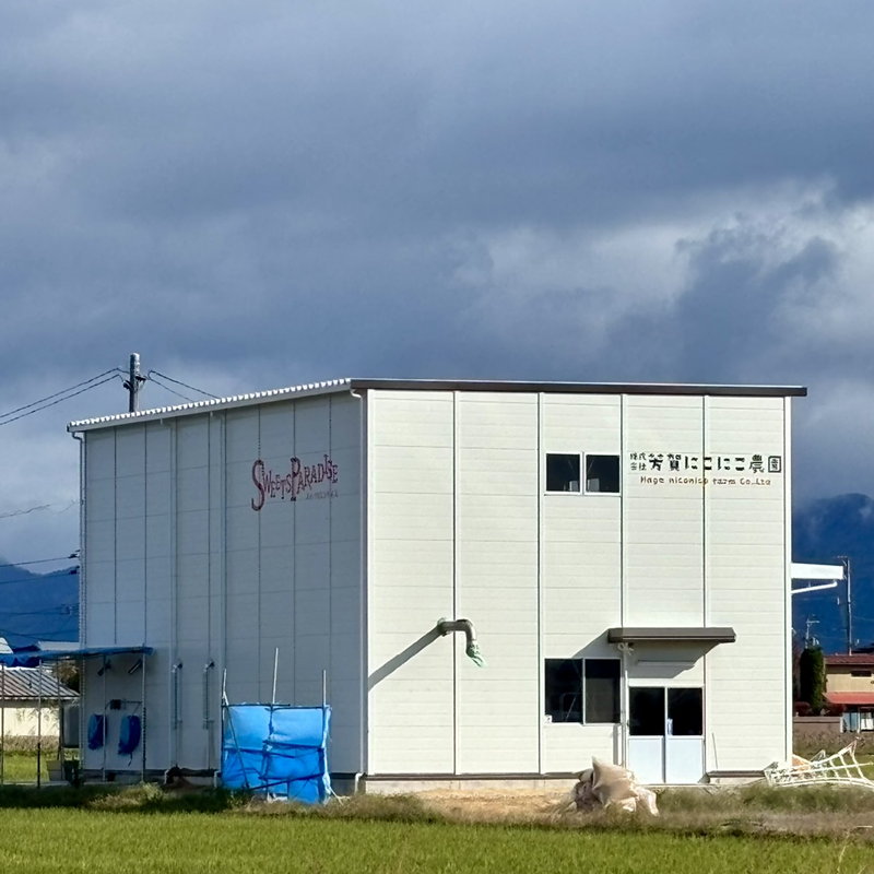 米乾燥調整設備を新築移転しました　2025.9