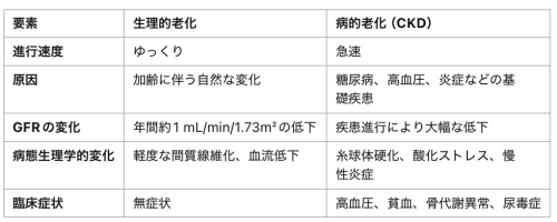 生理的老化と病的老化.png