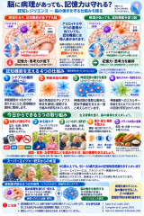 認知レジリエンスを学ぶ脳健康インフォグラフィック.jpg