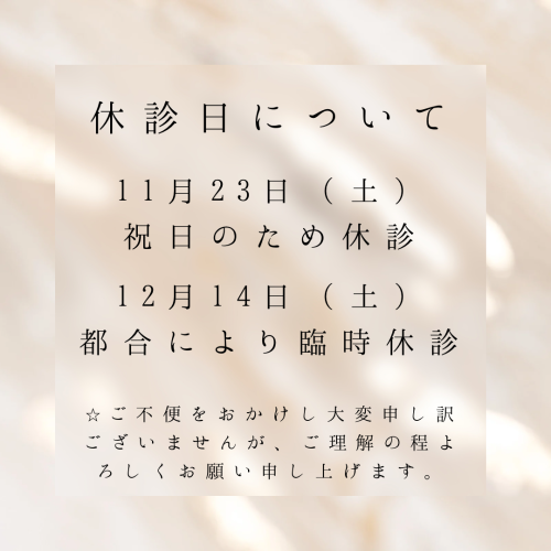 11月/12月