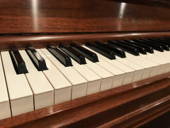 ピアノ鍵盤3 (2).JPG