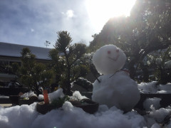 太陽と雪だるま.JPG
