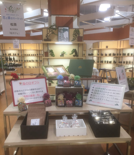 ボタニカルガーデン「花と緑のマーケット」＠川西阪急様　今日から出店します！