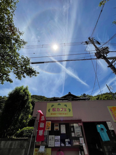 本日７/１〜松カフェ（鹿嶋神社参道店）は、9月後半までお休みさせていただきます！