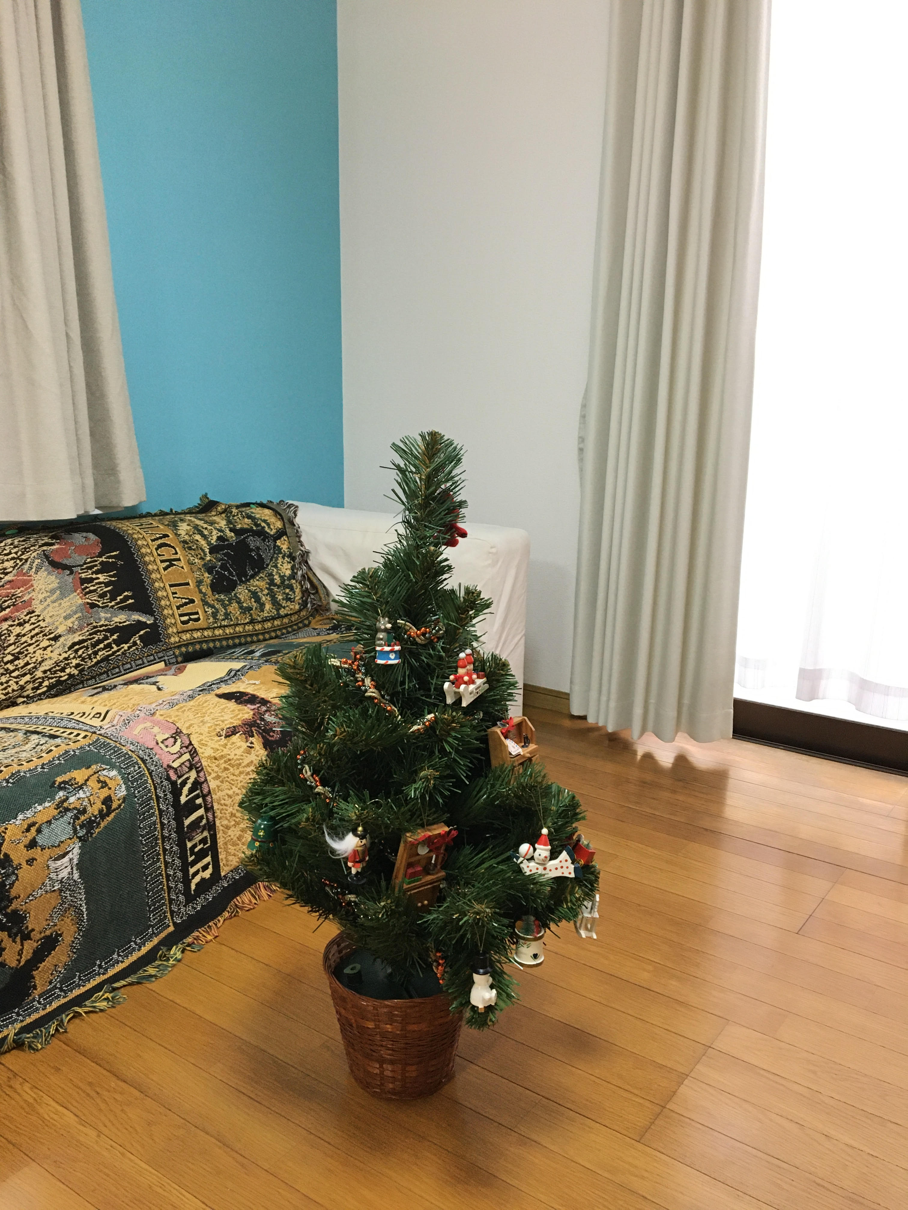 もうすぐクリスマスですね。