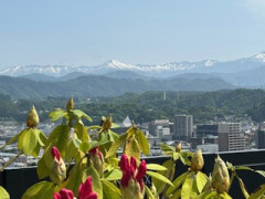 IMG_6889.jpg