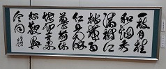 IMG_7357.JPG