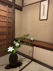 IMG_8830.jpeg