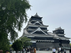 IMG_8864.jpeg