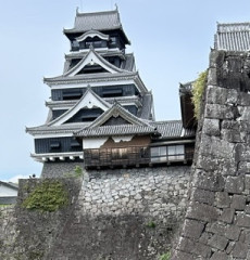 IMG_8865.jpeg