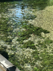 IMG_8903.jpeg