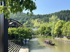 IMG_9025.jpeg
