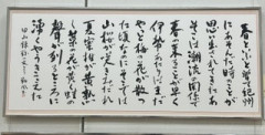 IMG_9204.jpeg