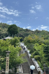IMG_9243.jpeg