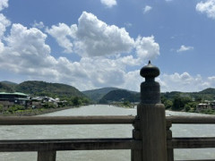 IMG_9250.jpeg