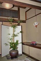IMG_9498.JPG