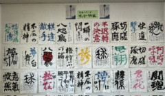 IMG_9574.jpeg