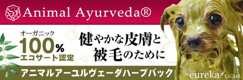 オプションメニュー