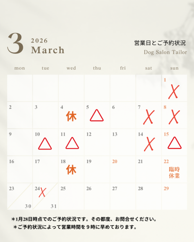 白 影 2026年 1月〜12月 カレンダー セット お知らせ インスタグラム投稿 縦長 - 4.png