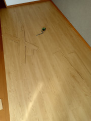 KIMG2253.JPG