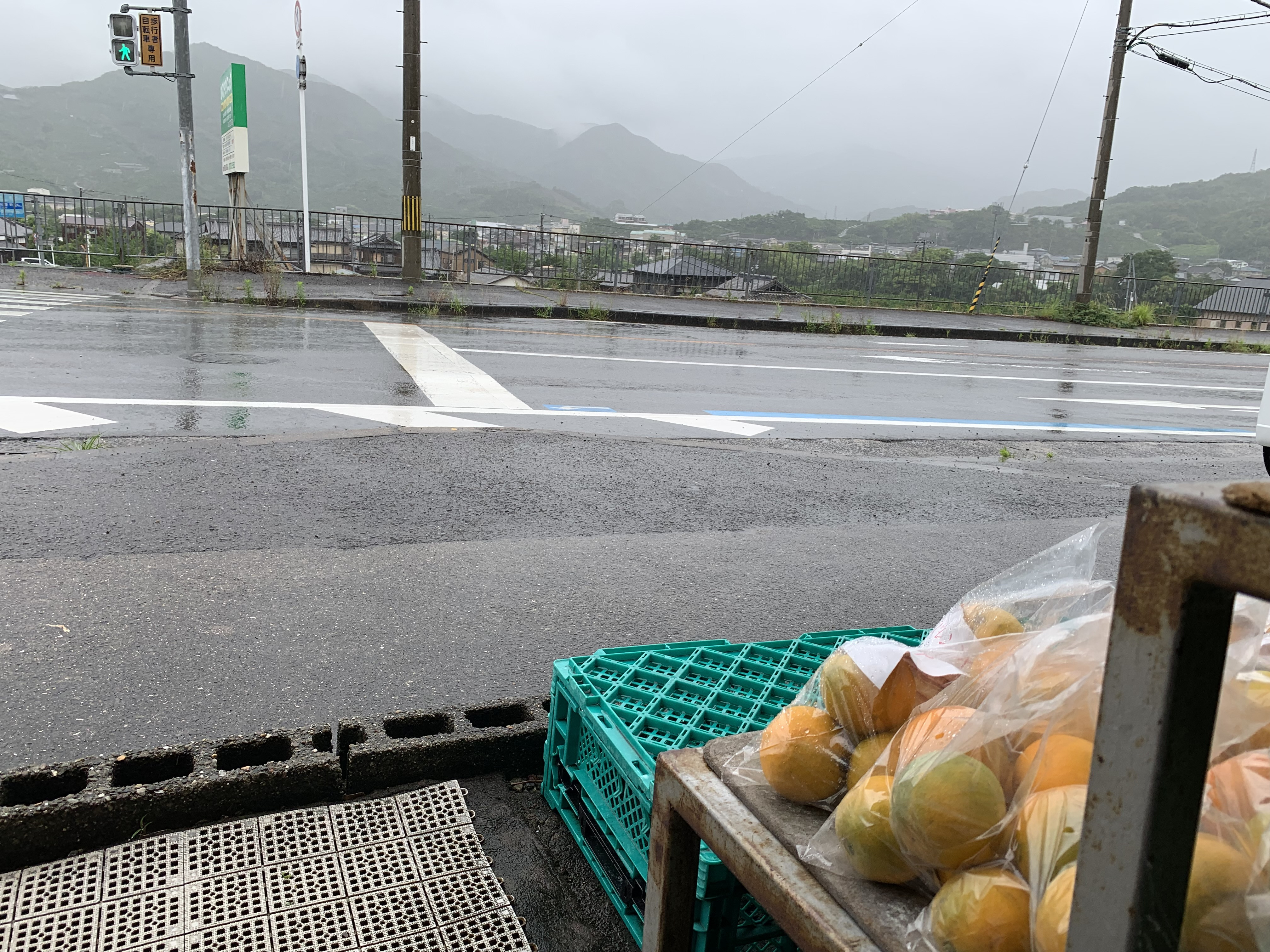本日、大雨！