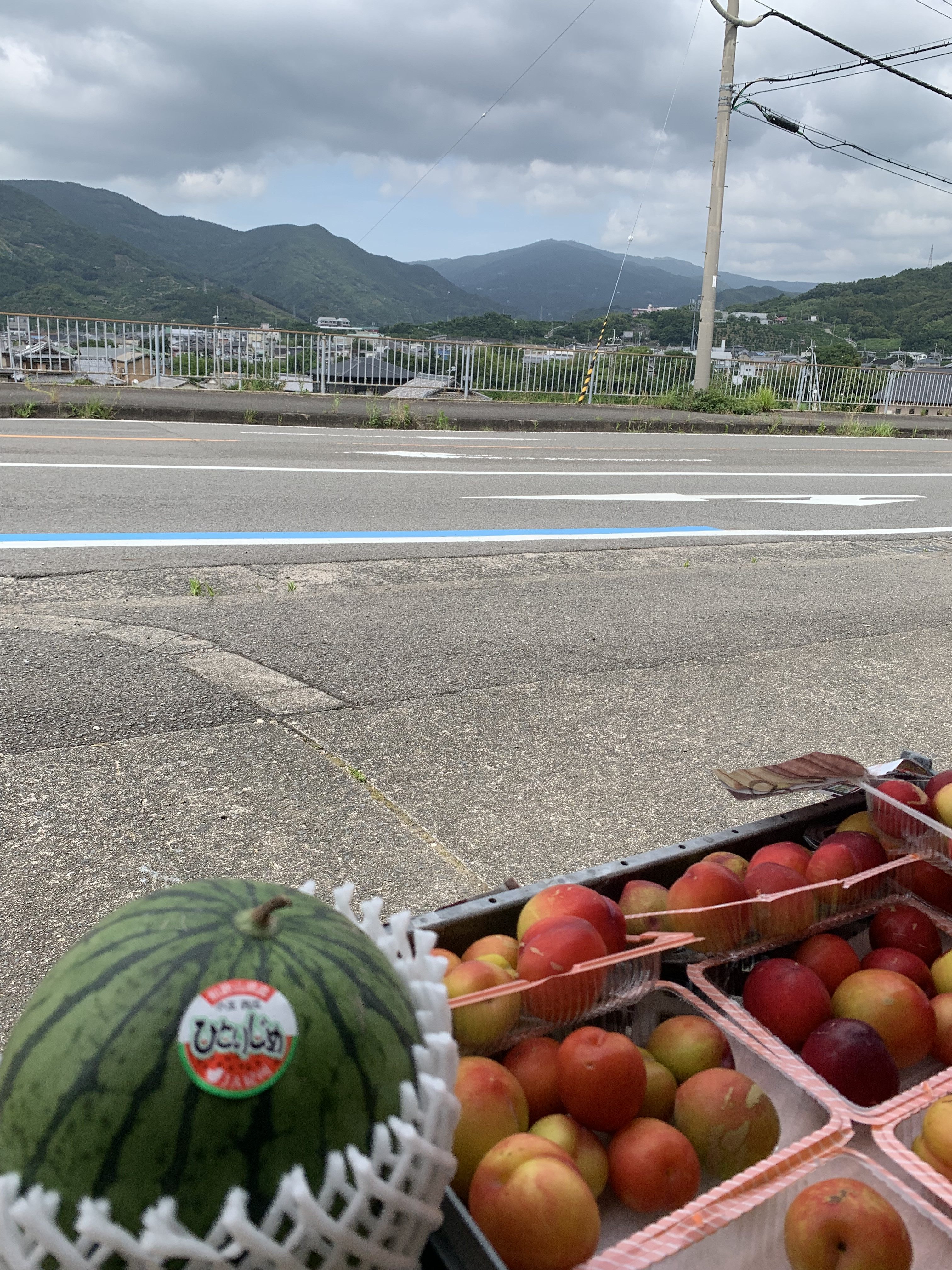 今日の天気！