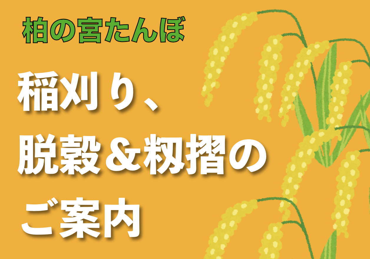 稲刈り、脱穀＆籾摺のご案内