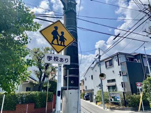 IMG_6977.jpeg