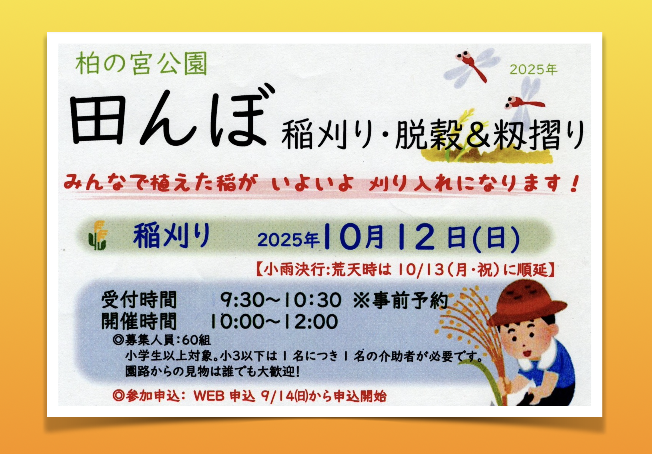 田んぼ 稲刈り・脱穀＆籾摺り