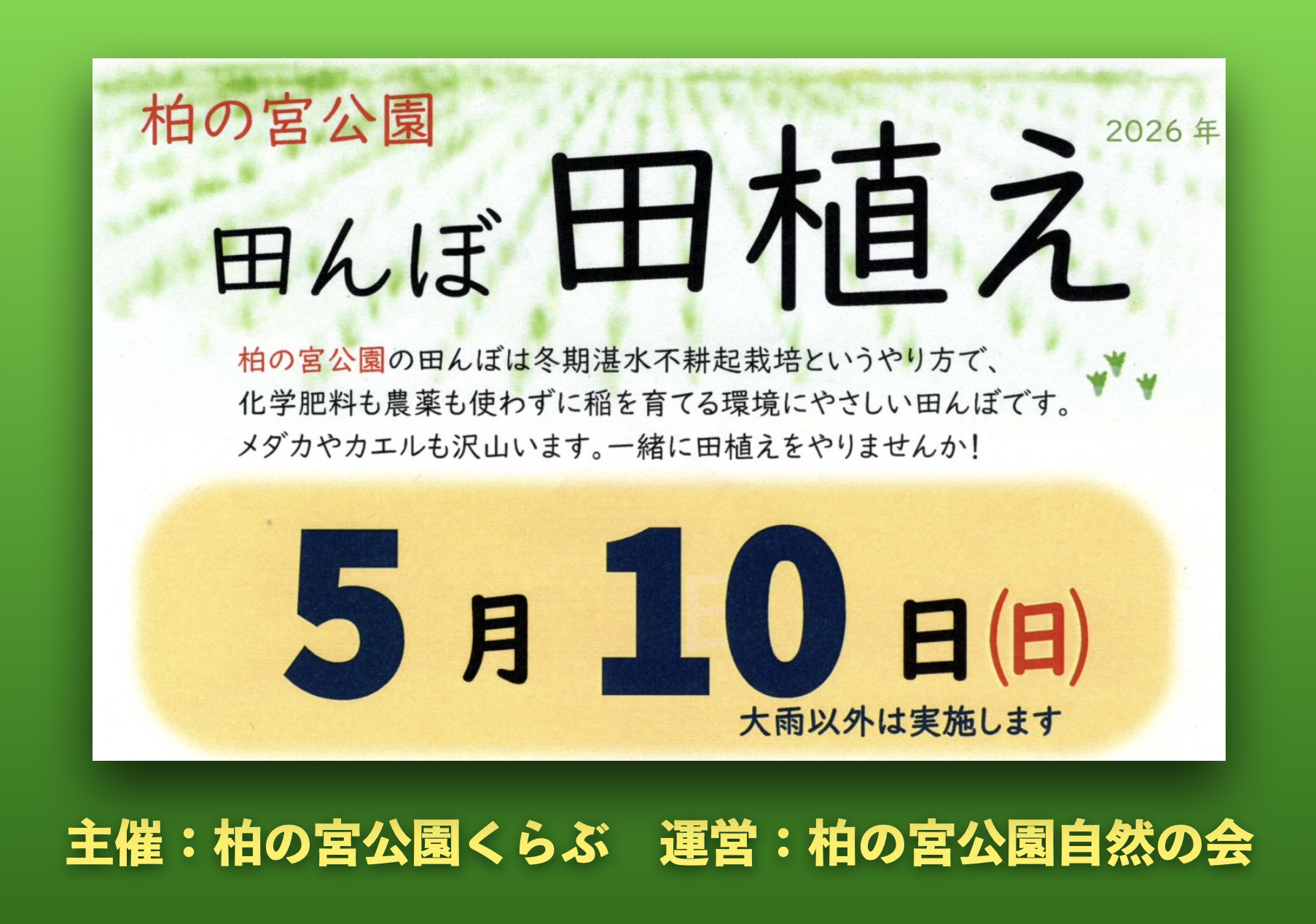 柏の宮公園 田植え