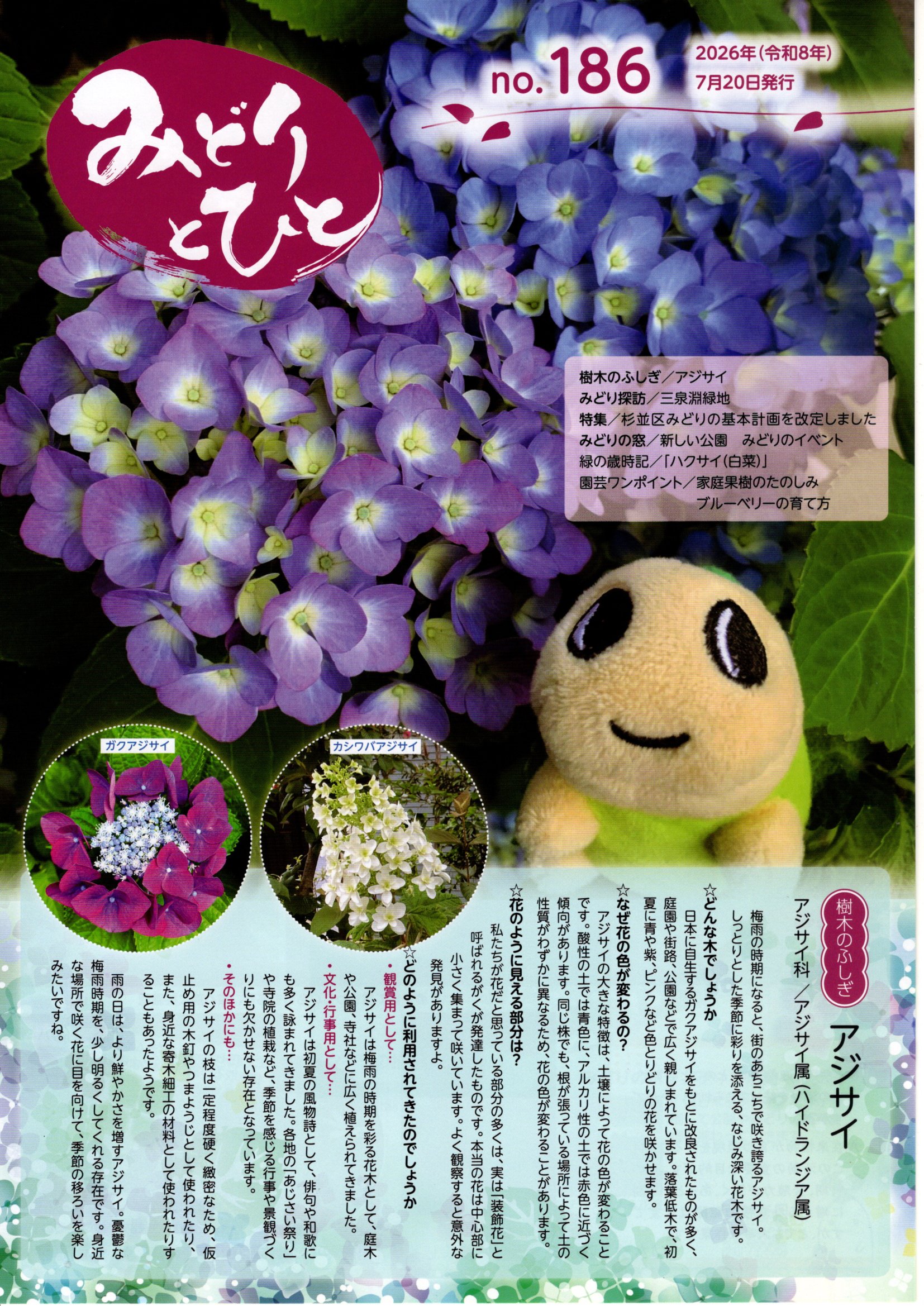 img20260731_21175931.jpg