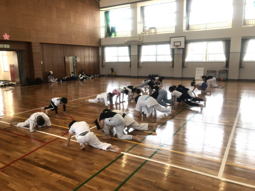 体幹.jpeg