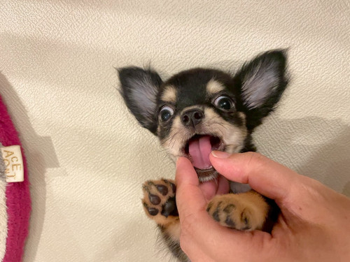 9月カレンダーを更新しました！