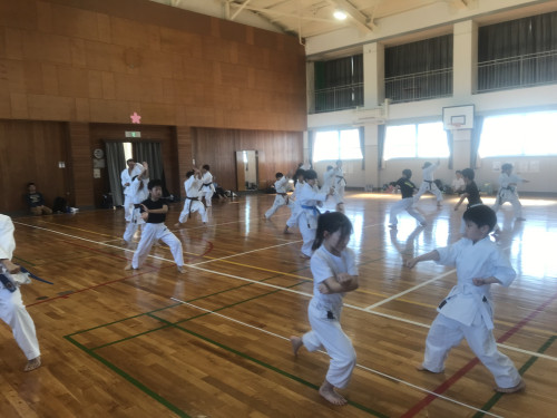 CBCEBC5F-A9B2-430E-B419-9B07EA4AFD4D.jpeg