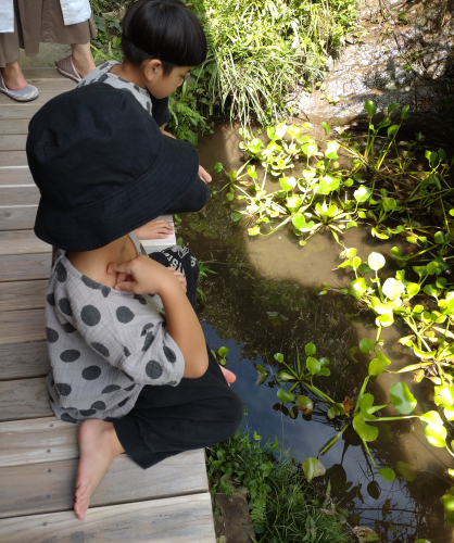 池と子ども.png