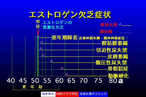 女性１８.jpg